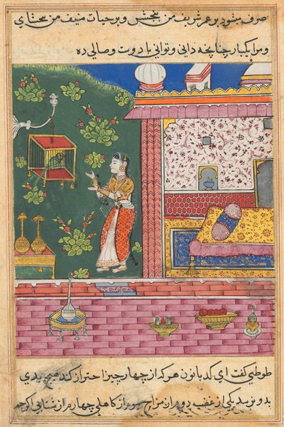 Pagina uit Verhalen van een papegaai Tuti-nama: Dertigste nacht: De papegaai spreekt Khujasta toe..., ca. 1560 door Unbekannt