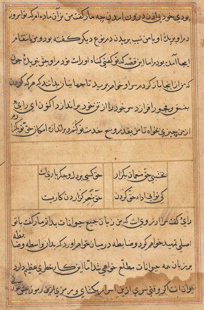 Pagina uit Verhalen van een Papegaai Tuti-nama: tekstpagina, ca. 1560 door Unbekannt