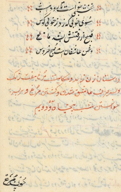 Pagina uit Verhalen van een Papegaai Tuti-nama: tekstpagina, ca. 1560 door Unbekannt