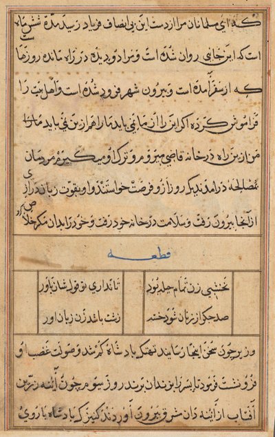 Pagina uit Verhalen van een Papegaai Tuti-nama: tekstpagina, ca. 1560 door Unbekannt