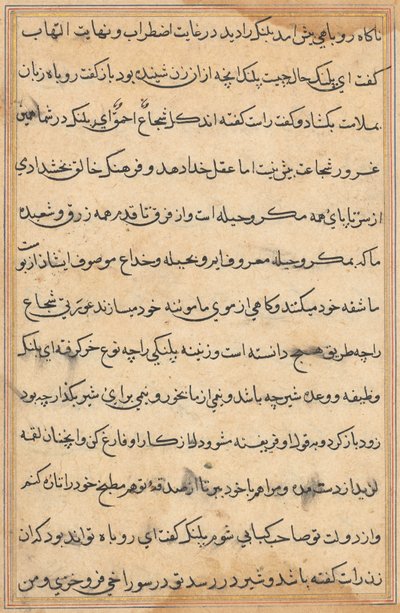 Pagina uit Verhalen van een papegaai Tuti-nama: tekstpagina, ca. 1560 door Unbekannt