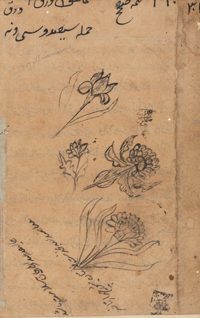 Pagina uit Verhalen van een Papegaai Tuti-nama: tekstpagina, circa 1560 door Unbekannt