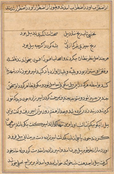 Pagina uit Verhalen van een papegaai Tuti-nama: tekstpagina, ca. 1560 door Unbekannt