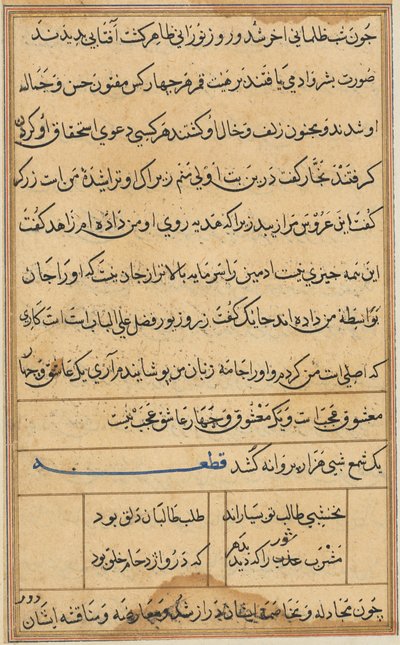 Pagina uit Verhalen van een papegaai Tuti-nama: tekstpagina, ca. 1560 door Unbekannt
