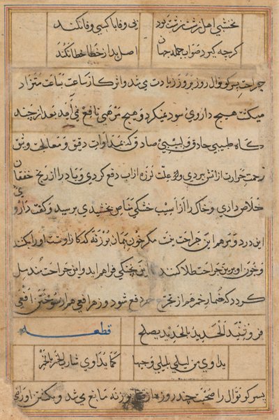 Pagina uit Verhalen van een papegaai Tuti-nama: tekstpagina, c. 1560 door Unbekannt