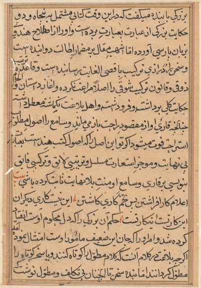 Pagina uit Verhalen van een papegaai Tuti-nama: tekstpagina, c. 1560 door Unbekannt