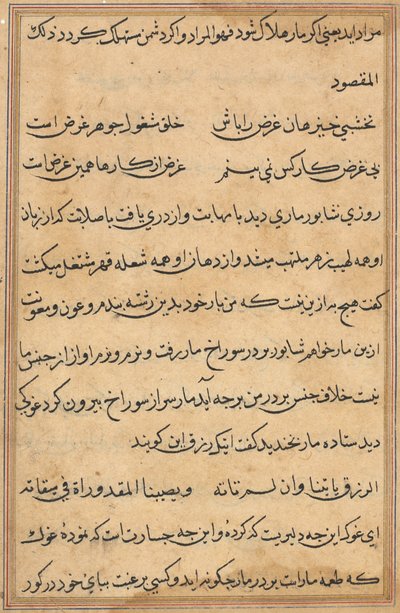 Pagina uit Verhalen van een Papegaai Tuti-nama: tekstpagina, c. 1560 door Unbekannt