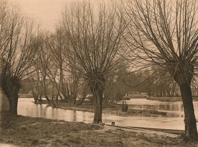Pangbourne Weir door Unbekannt