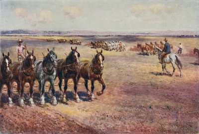 Ploegen op grote schaal, 1923 door Unbekannt