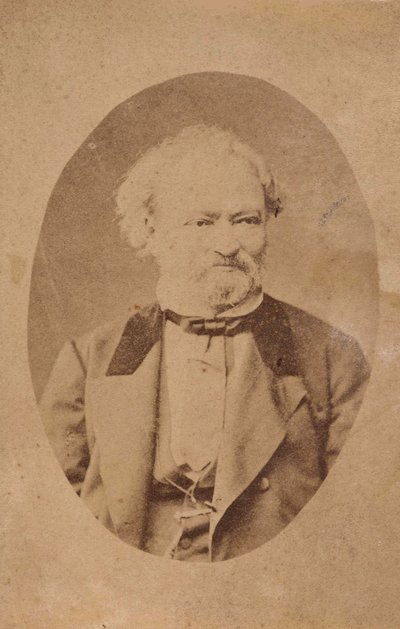 Portret van pianist en componist Ferenc Erkel 1810-1893, c. 1875 door Unbekannt