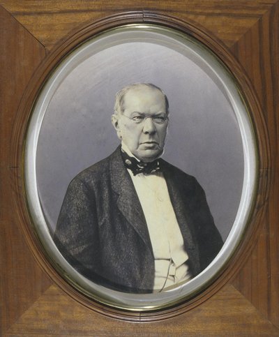 Portret van de dichter Prins Pyotr A. Vyazemsky 1792-1878, 1860s-1870s door Unbekannt