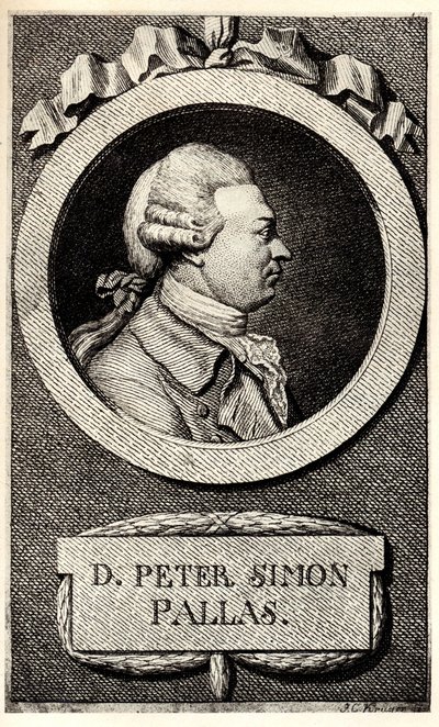 Portret van de zoöloog en botanicus Peter Simon Pallas 1741-1811, begin 19e eeuw door Unbekannt