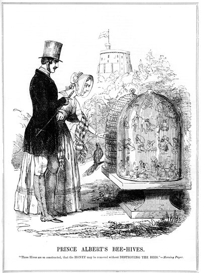 Prins Alberts bijenkorven, 1843 door Unbekannt