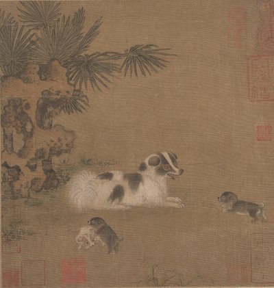 Puppy