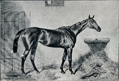 Koningin Bertha, 19e eeuw, 1911 door Unbekannt