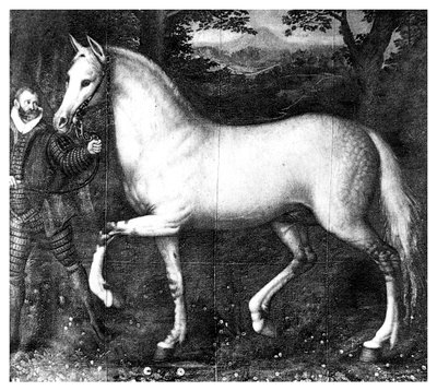 Paard van Koningin Elizabeth I, 1896 door Unbekannt