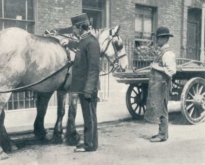 RSPCA inspecteur onderzoekt een paard, c1903 1903 door Unbekannt