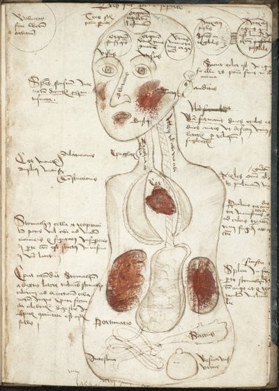 Weergave van een Aristoteliaanse Theorie van Bewustzijn Uit: De corpore et anima door Unbekannt