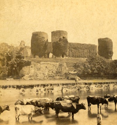 Rhuddlan - Kasteel vanaf de rivier, c1900 door Unbekannt