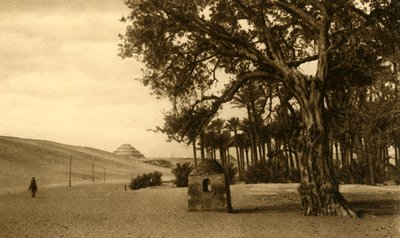 Saqqara - De trappiramide gezien vanaf de Sycomore, ca. 1918-ca. 1939 door Unbekannt