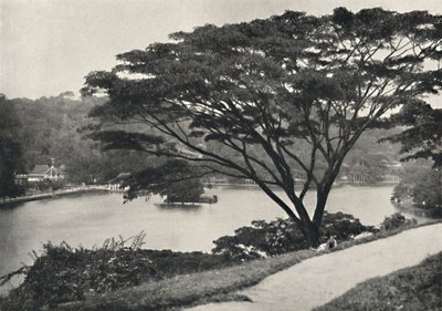 Meer, Tempel van de Heilige Tand en Bibliotheek in Kandy, gezien vanaf de Victoria-Drive naar het oosten, 192 door Unbekannt