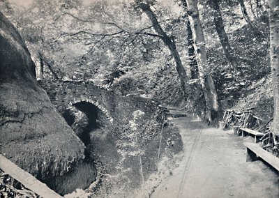 Shanklin - De Chine, 1895 door Unbekannt