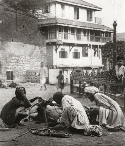 Een os beslaan, India, c1927 door Unbekannt