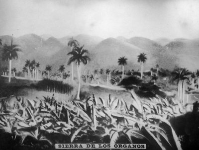 Sierra de los Organos, 1896, 1920s door Unbekannt