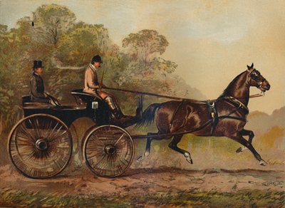 Enkelspan Phaeton paard Columbine. Eigendom van Charles Baynes Esq., 1872, c1879 door Unbekannt