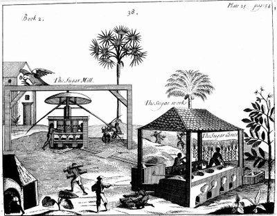 Slavenarbeid op een suikerplantage in West-Indië, 1725 door Unbekannt