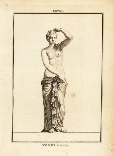 Beeld van Venus Celeste, Romeinse godin van liefde, schoonheid, seks en vruchtbaarheid door Unbekannt