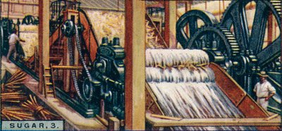Suiker, 3. Het Verpletteren van de Stengels, Java, 1928 door Unbekannt