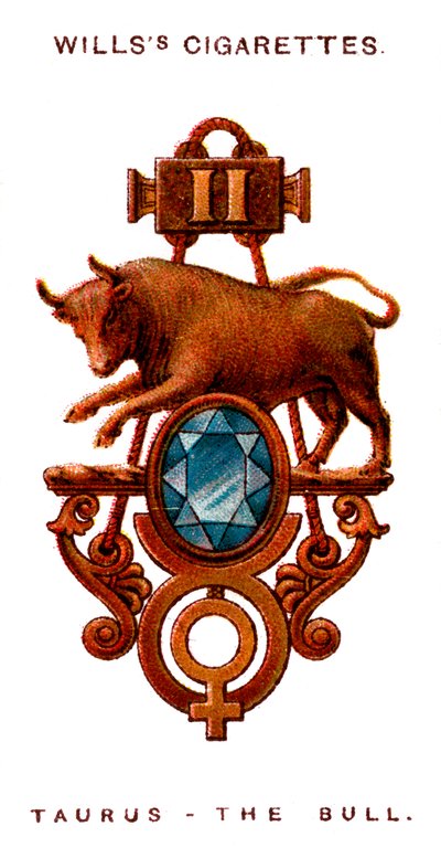 Stier, 1923 door Unbekannt