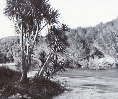 Te Waihou Rivier, Okoroire door Unbekannt