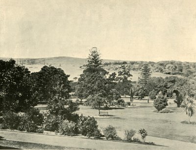 De Botanische Tuinen van Sydney, 1901 door Unbekannt