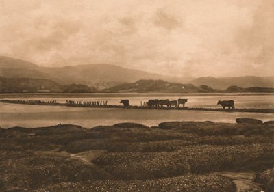 De Dovey bij Ynyslas, 1902 door Unbekannt