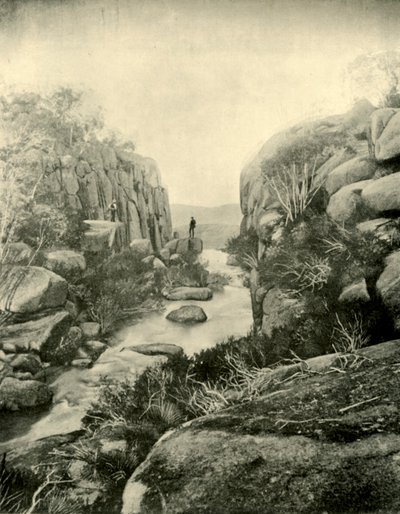 De kloof, Buffalo Falls, Victoriaanse Alpen, 1901 door Unbekannt
