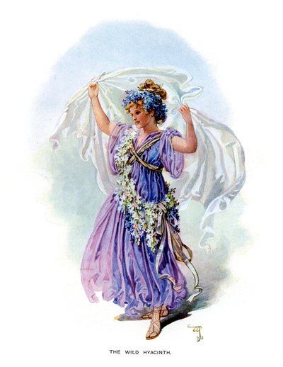 De Wilde Hyacint, 1899 door Unbekannt
