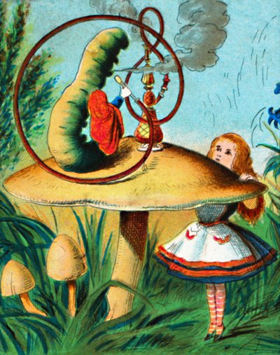 De rups op zijn paddenstoel, ca. 1900 door Unbekannt
