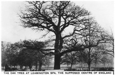 De eik in Leamington Spa, het veronderstelde centrum van Engeland, 1936 door Unbekannt