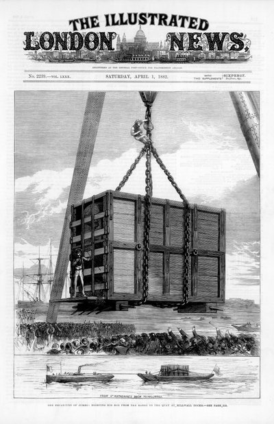 Transport van Jumbo de Afrikaanse olifant naar Amerika, 1882 door Unbekannt