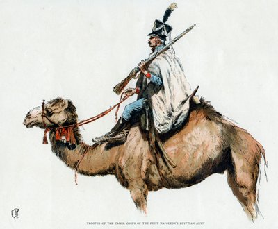 Soldaat van het kameelkorps van het Eerste Napoleonische Egyptische Leger, 1790s 20e eeuw door Unbekannt