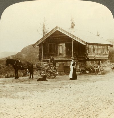 Wachten op passagiers op de weg nabij Bolkesjo, Noorwegen, ca. 1905 door Unbekannt