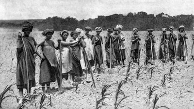 Vrouwen die een maïsveld wieden, Zuid-Afrika, ca. 1923 door Unbekannt