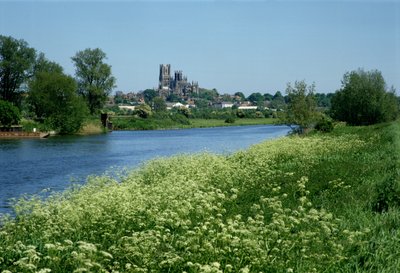 Ely Kathedraal en de rivier Ouse door Unbekannt Unbekannt