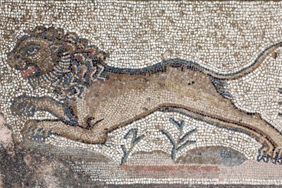 Een leeuw - Detail van een fries die scènes van een jacht uitbeeldt naast het paneel dat het eerste bad van Achilles voorstelt - Paphos Mozaïeken, Villa van Theseus, 5e eeuw na Christus - Cyprus door William M. Timlin