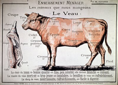 Dieren die we eten: het kalf, ca. 1910 (prent) door Unbekannter Künstler