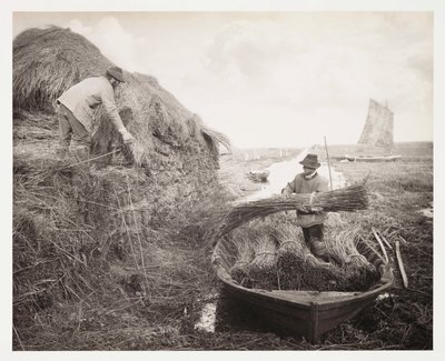 Akkerbouw, Oogsten 