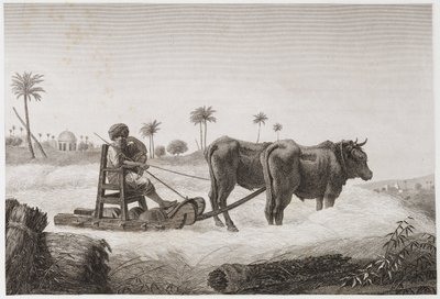 Akkerbouw, Oogsten Dorsmachine, Egypte, ca. 1798 door Unbekannt