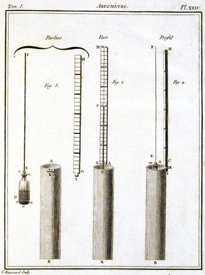 Areometer (hydrometer of densimeter) door Unbekannt